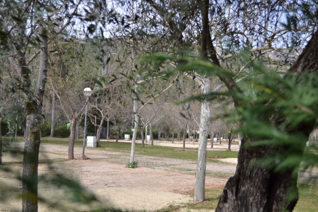 167493046 3317365405054588 4779039516633937822 n